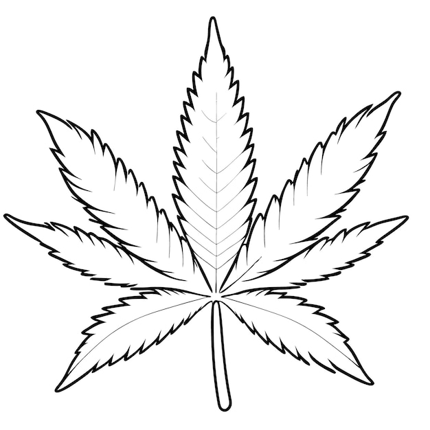 cannabis vector illustration line art