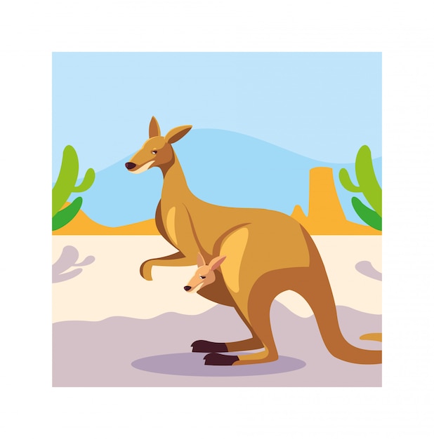 Card with kangaroo in australian landscape