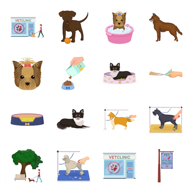 Care dog  cartoon set icon. Animal cartoon set icon.  care dog  .