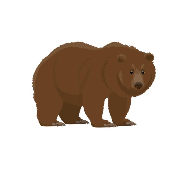 Vector cartoon bear vector free download for kids book