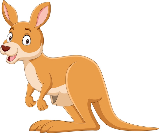 Cartoon cute kangaroo on white background