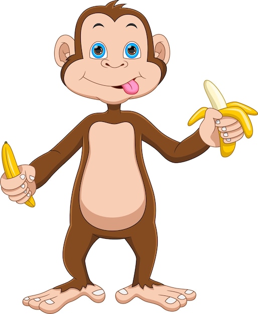 Vector cartoon cute monkey holding banana