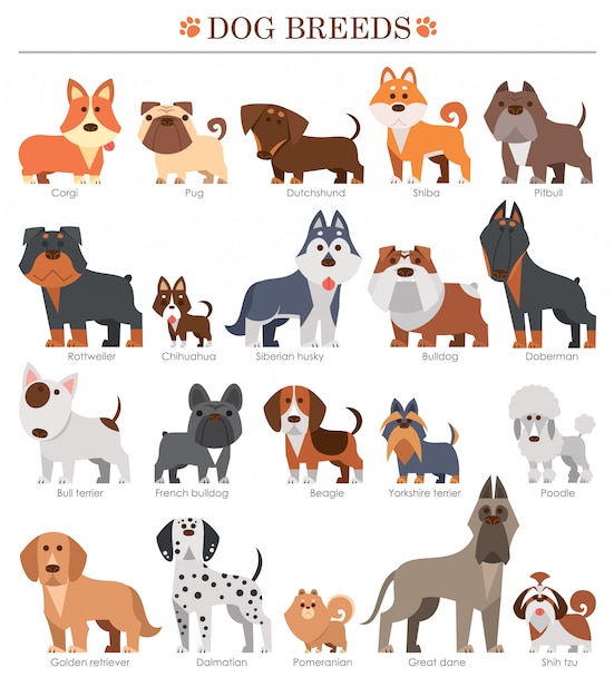 Cartoon dogs breeds set. Cute dog.