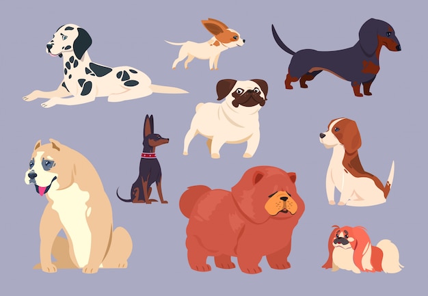 Vector cartoon dogs. puppy pet different breeds. chow chow, dachshund and dalmatian, pit bull and pekingese, pug and beagle vector collection