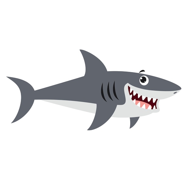 Cartoon Drawing Of A Shark