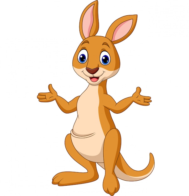 Cartoon funny Kangaroo isolated on white background