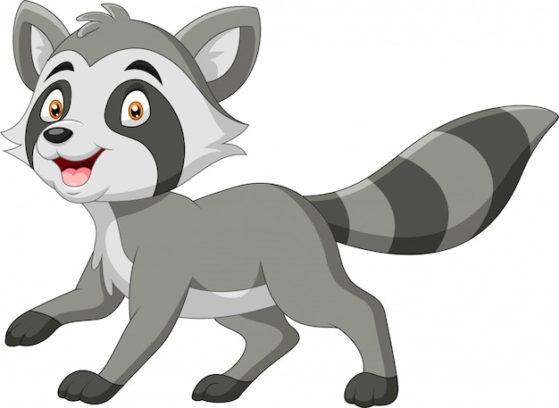 Cartoon funny raccoon a smile