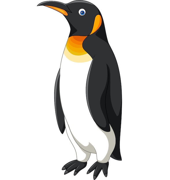 Cartoon penguin isolated on white background