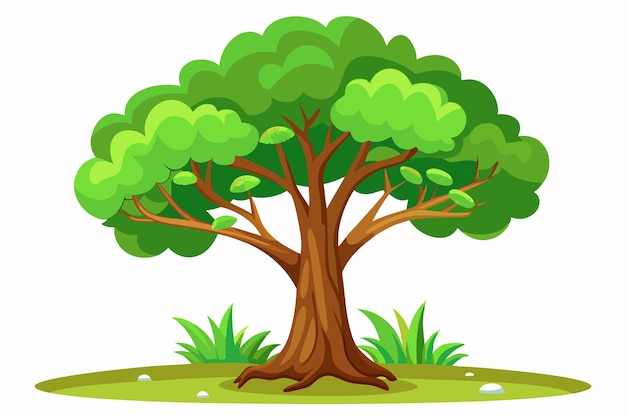 Vector cartoon tree with lush green canopy and brown trunk