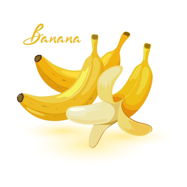 Cartoon vector picture shows whole ripe yellow and peeled bananas