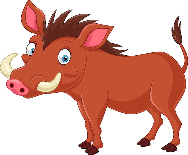 Cartoon warthog on white background