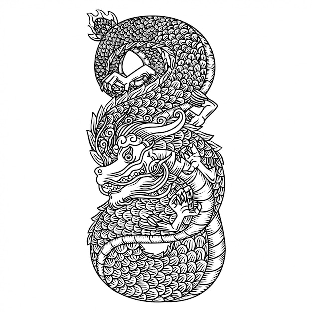 carved dragon illustration black and white hand drawing 