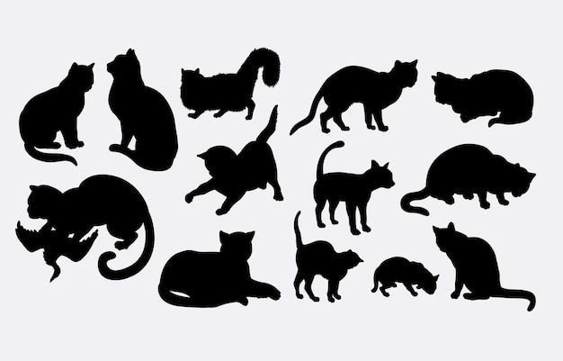 Cat pet animal silhouette