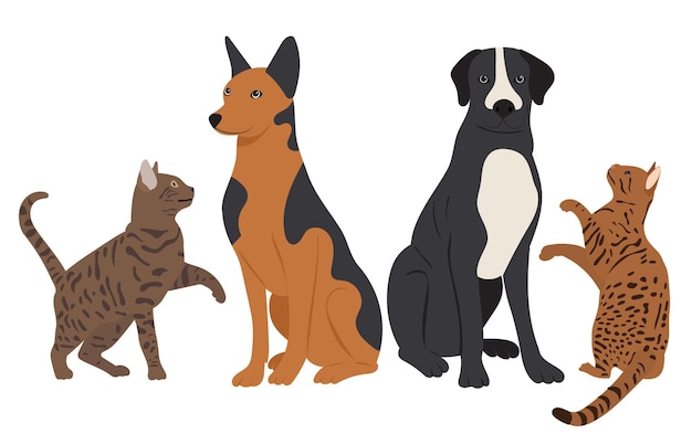 Cats and dogs in flat design isolated vector