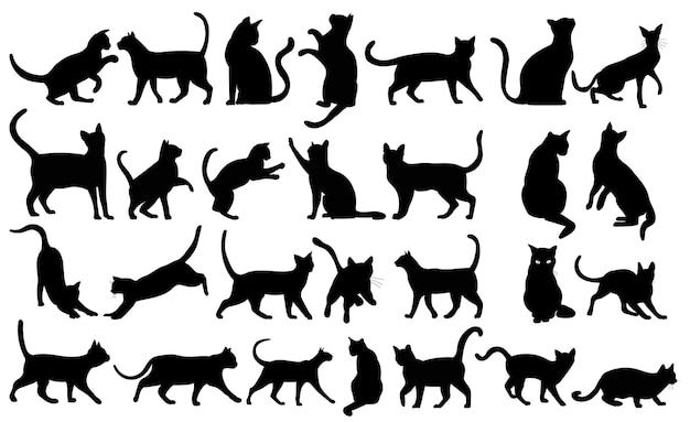 Cats set silhouette on white background, vector