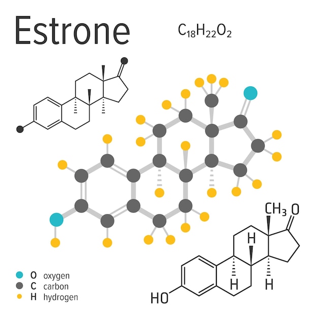 Chemical formula of the vector estrone molecule