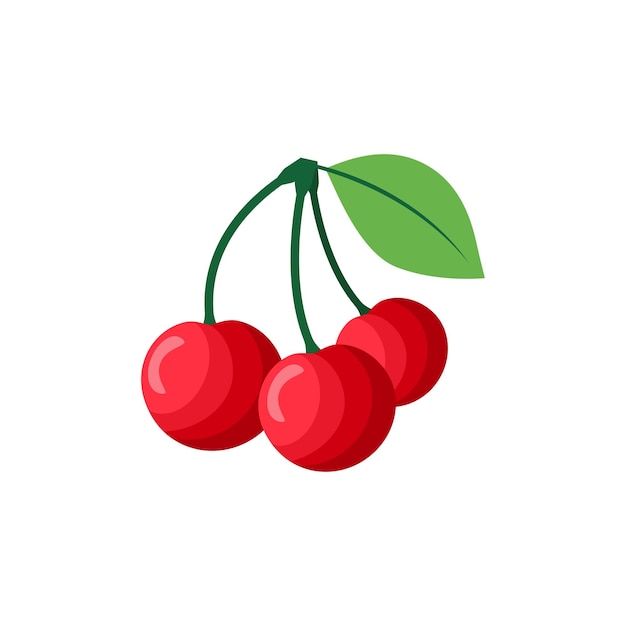 Cherries Fruit Flat Design Vector Illustration Isolated on a white background