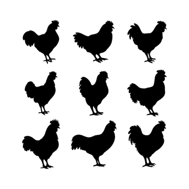 Chicken silhouette or hen silhouettes vector illustration pack