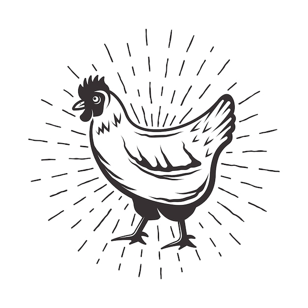 Chicken with sunbursts rays monochrome illustration in retro style