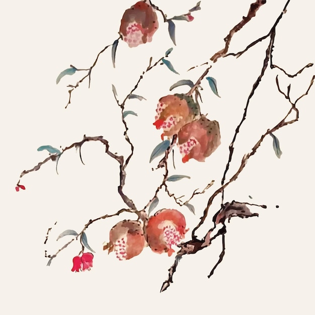 Vector chinese painting pomegranate tree