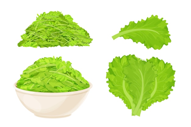 Vector chopped lettuce leaves in bowl in cartoon style isolated on white background