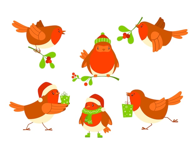 Christmas bird set. Christmas robin vector illustration