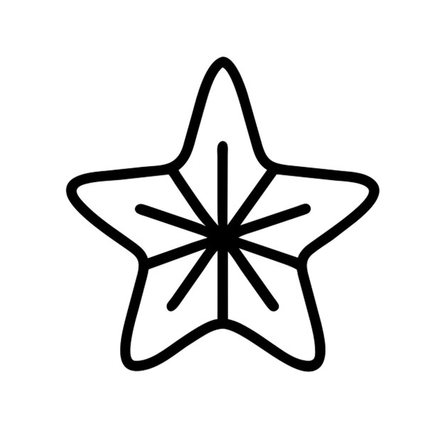 Vector christmas star icon outline