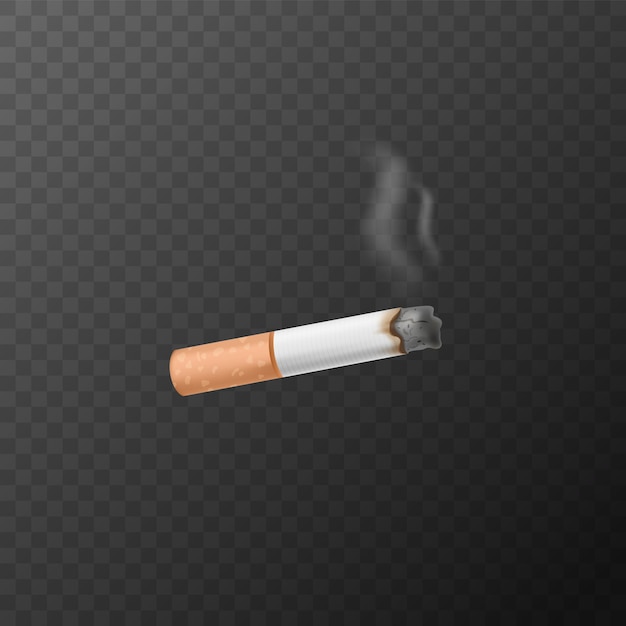 Vector cigarette realistic 3d cigarette icon with smokeisolated vector