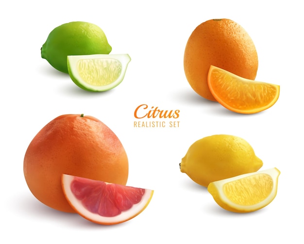 Citrus realistic set of lyme orange lemon  grapefruit whole fruits and slices