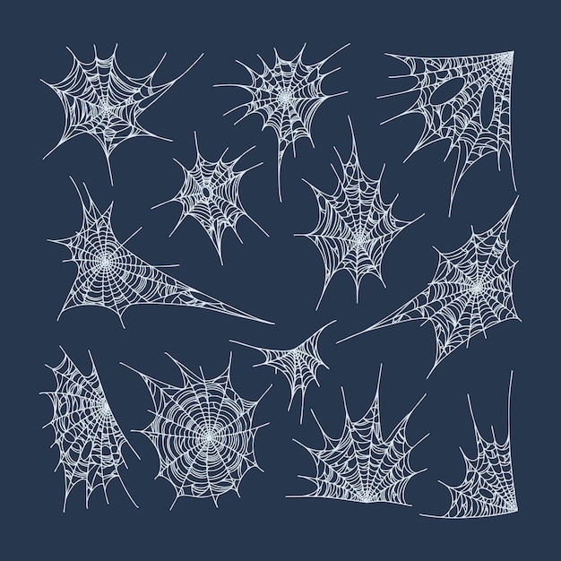 Cobweb vector illustration Spider webs