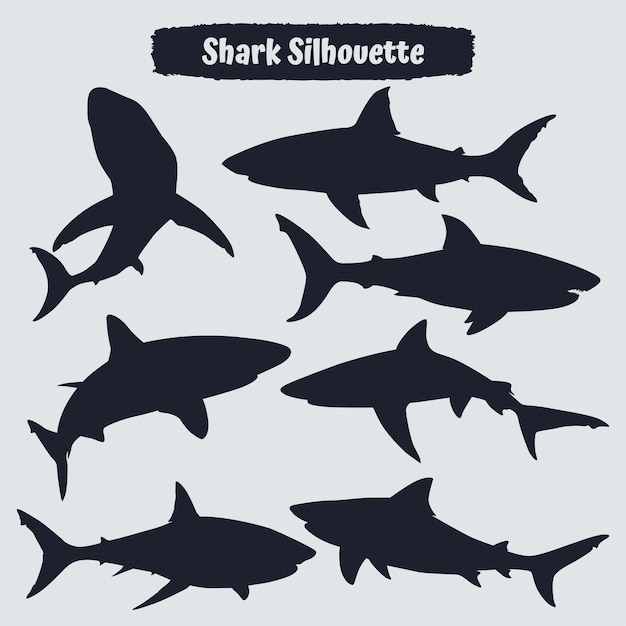 Collection of animal Shark Silhouette in different poses