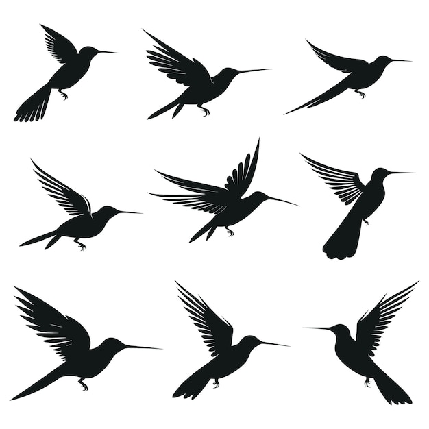 Vector a collection of birds with wings spread out and one of them has a bird flying in the air