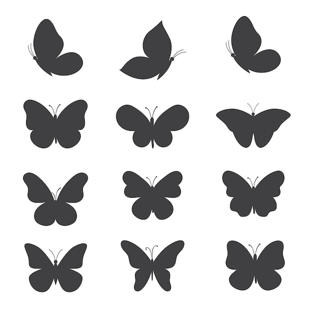 Vector a collection of butterflies with black and white images