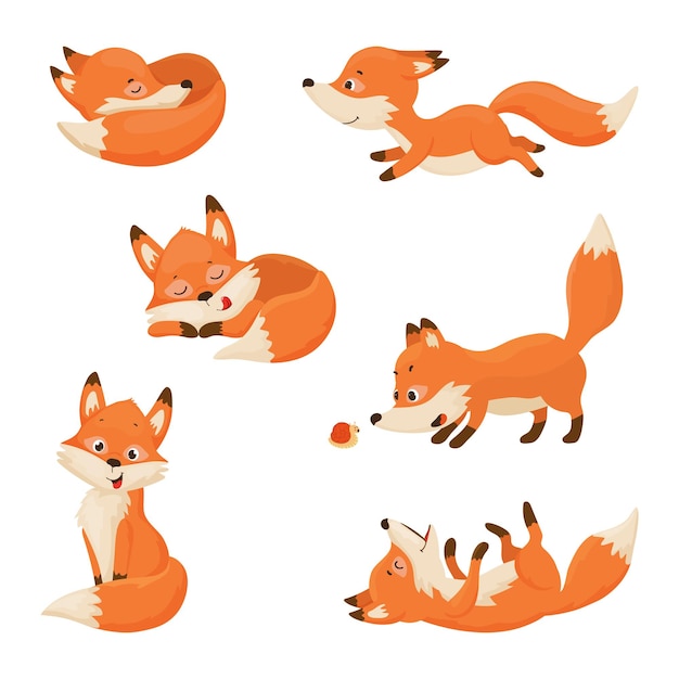 Collection of cartoon illustrations with the fox