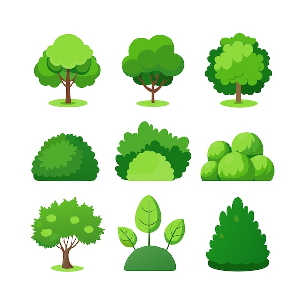 a collection of different trees including a green leafy tree