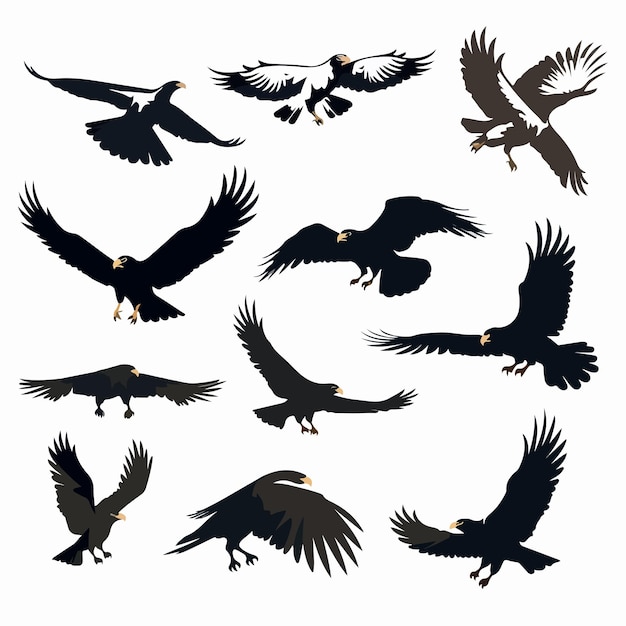 Vector collection of diverse eagle characters and silhouettes on white background