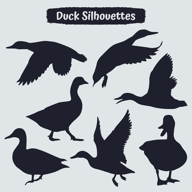 Collection of Duck Silhouette in different poses