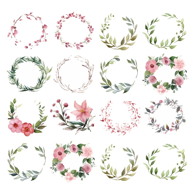 Vector a collection of floral designs including flowers and leaves