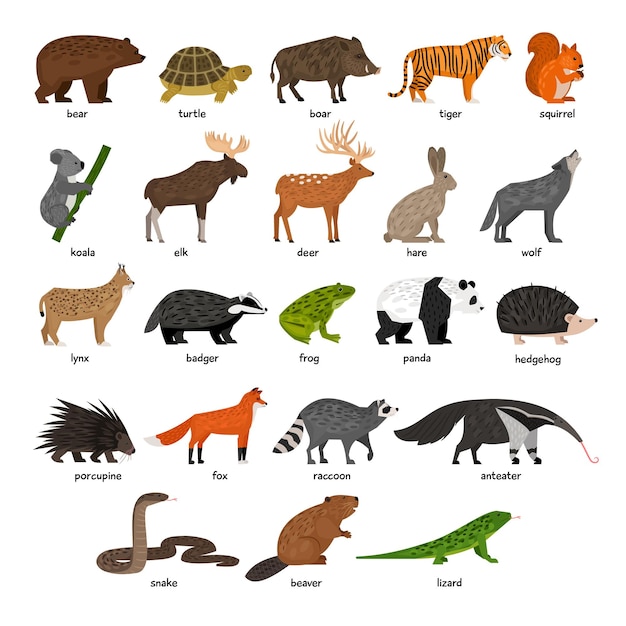 Vector a collection of forest animals vector