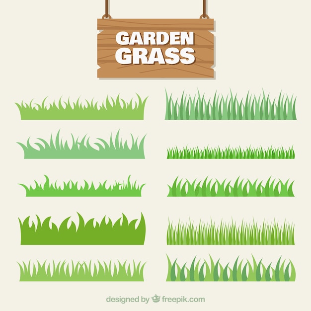 Vector collection of grass 