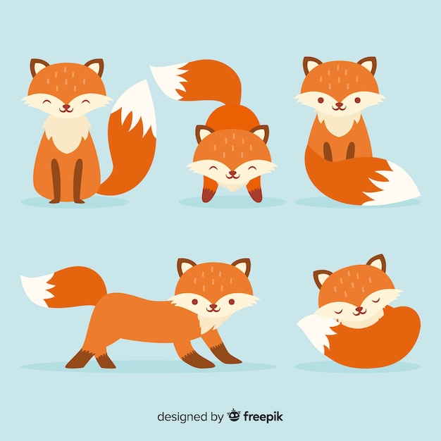 Vector collection of hand drawn foxes