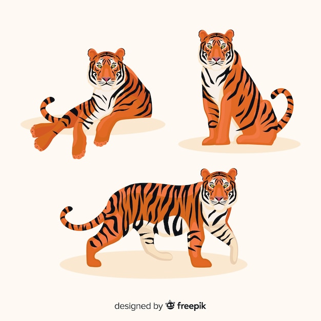 Vector collection of hand drawn tigers