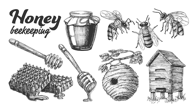 Collection Honey Beekeeping Apiary Set.