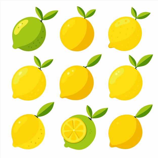 Vector a collection of lemons and limes with a white background