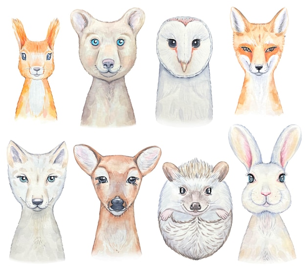 Collection of portraits of watercolor forest animals