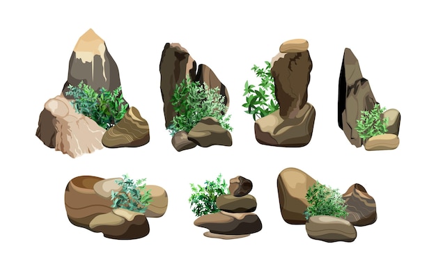 Collection of stones and plants of various shapes.