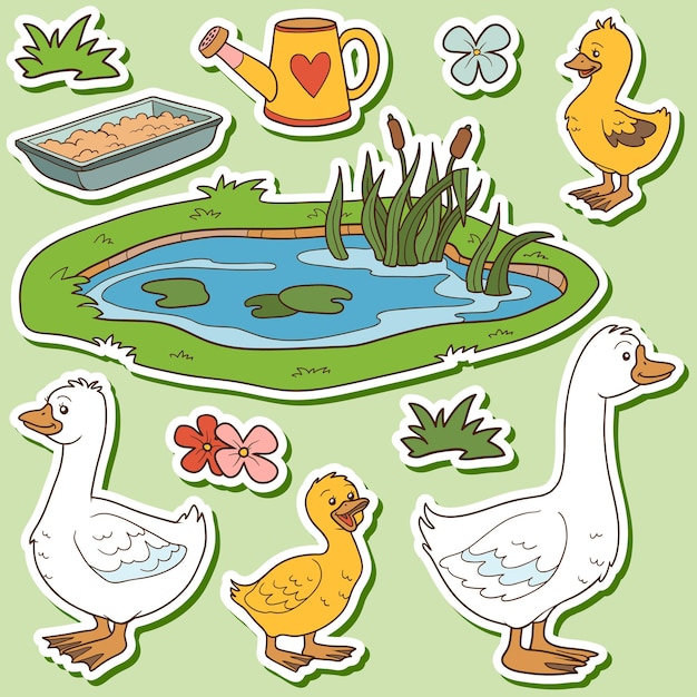 Vector color set of cute farm animals and objects vector family goose and objects