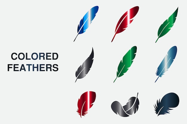 Vector colored vector designs feathers