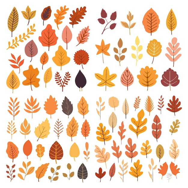 Vector colorful collection of autumn leaves