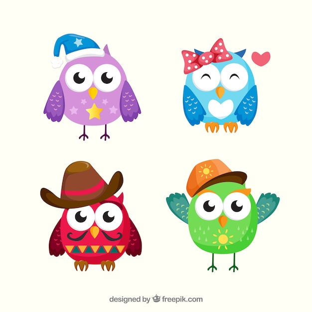 Colorful owl collection